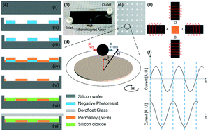 Graphical abstract: A novel magnetophoretic-based device for magnetometry and separation of single magnetic particles and magnetized cells