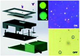 Graphical abstract: On-board smartphone micromotor-based fluorescence assays