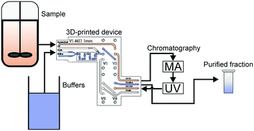 Graphical abstract: 3D-Printed microfluidic device for protein purification in batch chromatography