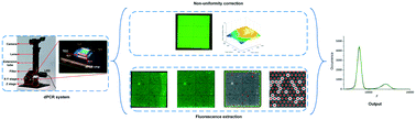 Graphical abstract: An image-to-answer algorithm for fully automated digital PCR image processing