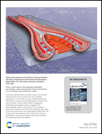 Graphical abstract: Inside back cover