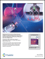 Graphical abstract: Inside back cover