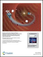 Graphical abstract: Inside back cover