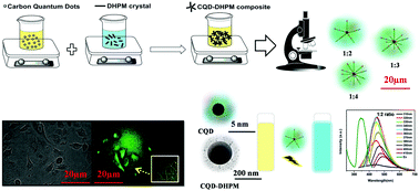 Graphical abstract: Assessment of dihydropyrimidinone-based nanocomposites as multifunctional anti-cancer drug