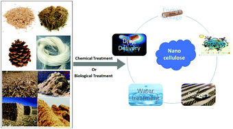 Graphical abstract: Recent advances in nanocellulose processing, functionalization and applications: a review