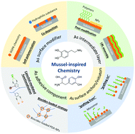 Graphical abstract: Anti-biofouling materials and surfaces based on mussel-inspired chemistry