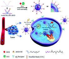 Graphical abstract: An efficient photo-chemo combination therapeutic platform based on targeted reduction-responsive self-crosslinked polymer nanocapsules