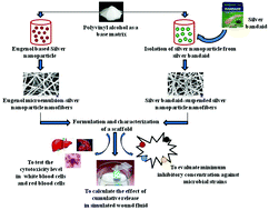 Graphical abstract: Eugenol micro-emulsion reinforced with silver nanocomposite electrospun mats for wound dressing strategies