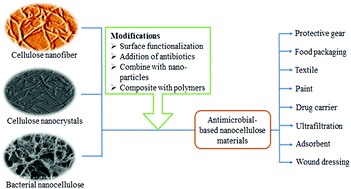 Graphical abstract: Emerging development of nanocellulose as an antimicrobial material: an overview