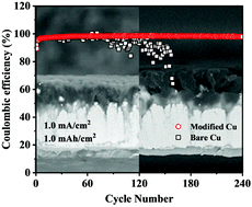 Graphical abstract: A binary PMMA/PVDF blend film modified substrate enables a superior lithium metal anode for lithium batteries