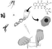 Graphical abstract: Magnetic hydroxyapatite nanomaterial–cyclodextrin tethered polymer hybrids as anticancer drug carriers