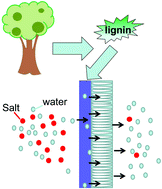 Graphical abstract: Employing lignin in the formation of the selective layer of thin-film composite membranes for pervaporation desalination