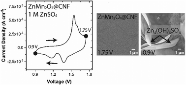 Graphical abstract: Elucidating zinc-ion battery mechanisms in freestanding carbon electrode architectures decorated with nanocrystalline ZnMn2O4