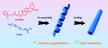 Graphical abstract: Fabrication of chiral polydiacetylene nanotubes via supramolecular gelation of a triterpenoid-derived amphiphile