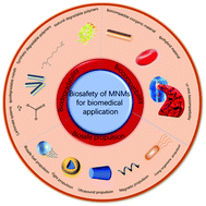 Graphical abstract: Biosafety of micro/nanomotors towards medical application