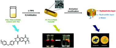 Graphical abstract: Hydrophobic and hydrophilic modification of hierarchically porous monolithic polyimide derivatives as functional liquid absorbers