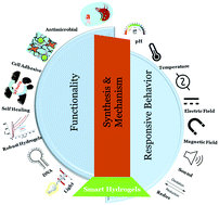 Graphical abstract: Recent advances in the synthesis of smart hydrogels