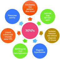 Graphical abstract: Magnetic nanoparticles: an emerging nano-based tool to fight against viral infections