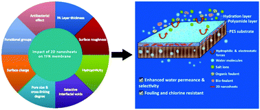 Graphical abstract: 2D nanosheet enabled thin film nanocomposite membranes for freshwater production – a review