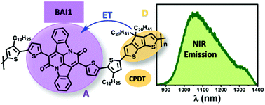 Graphical abstract: Polymeric near infrared emitters with bay-annulated indigo moieties