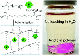 Graphical abstract: Poly(triethylene glycol methyl ether methacrylate) hydrogel as a carrier of phosphotungstic acid for acid catalytic reaction in water