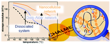 Graphical abstract: Synergistic reinforcement of a reversible Diels–Alder type network with nanocellulose
