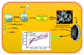 Graphical abstract: A facile, cost-effective, rapid, single-step synthesis of Ag–Cu decorated ZnO nanoflower-like composites (NFLCs) for electrochemical sensing of dopamine