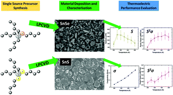 Graphical abstract: n Bu2Sn(SnBu)2 and nBu3SnEnBu (E = S or Se) – effective single source precursors for the CVD of SnS and SnSe thermoelectric thin films