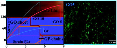 Graphical abstract: Tailoring of the physical and mechanical properties of biocompatible graphene oxide/gelatin composite nanolaminates via altering the crystal structure and morphology