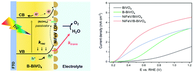 Graphical abstract: Remarkable synergy of borate and interfacial hole transporter on BiVO4 photoanodes for photoelectrochemical water oxidation