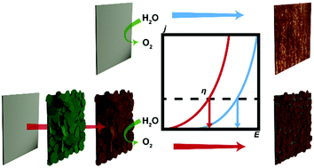 Graphical abstract: Sustainable oxygen evolution catalysis – electrochemical generation of mössbauerite via corrosion engineering of steel