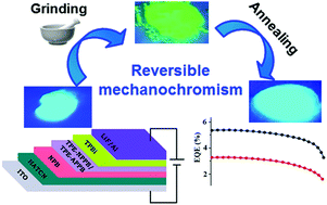 Graphical abstract: Non-doped OLEDs based on tetraphenylethylene phenanthroimidazoles with negligible efficiency roll-off: effects of end group regulated stimulus responsive AIE luminogens