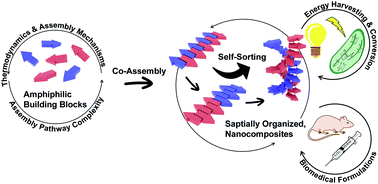 Graphical abstract: Construction of spatially organized, peptide/peptide derivative containing nanocomposites