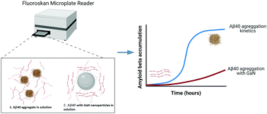 Graphical abstract: Gallium nanoparticles as novel inhibitors of Aβ40 aggregation