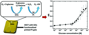 Graphical abstract: A functionalization study of aerosol jet printed organic electrochemical transistors (OECTs) for glucose detection