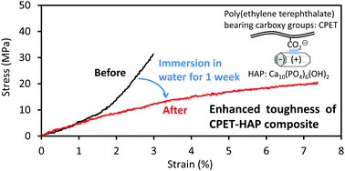 Graphical abstract: Enhanced toughness of hydroxyapatite–poly(ethylene terephthalate) composites by immersion in water