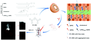 Graphical abstract: Rational design of a NIR-II fluorescent nanosystem with maximized fluorescence performance and applications