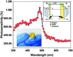 Graphical abstract: CdS nanobelt-based self-powered flexible photodetectors with high photosensitivity