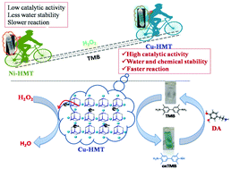 Graphical abstract: Transition metal coordination frameworks as artificial nanozymes for dopamine detection via peroxidase-like activity