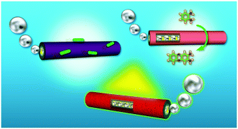 Graphical abstract: Catalase-driven protein microtube motors with different exterior surfaces as ultrasmall biotools