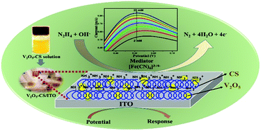 Graphical abstract: Melt-quenched vanadium pentoxide-stabilized chitosan nanohybrids for efficient hydrazine detection