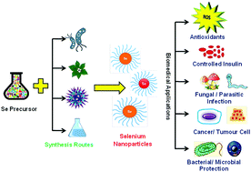 Graphical abstract: Selenium nanoparticles: a review on synthesis and biomedical applications