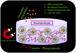 Graphical abstract: Magnetoresponsive biocomposite hydrogels comprising gelatin and valine based magnetic ionic liquid surfactant as controlled release nanocarrier for drug delivery