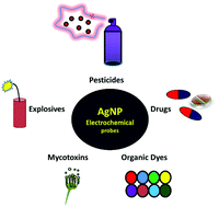 Graphical abstract: Recent advances in silver nanoparticle-based electrochemical sensors for determining organic pollutants in water: a review