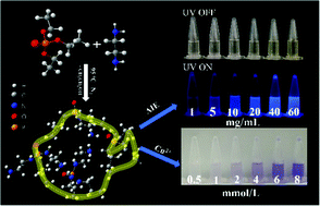 Graphical abstract: A novel aggregation-induced emission poly(phosphoramidate): fluorescence properties and visual detection for Cu2+