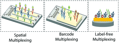 Graphical abstract: Toward precision oncology: SERS microfluidic systems for multiplex biomarker analysis in liquid biopsy