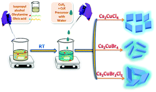 Graphical abstract: Water-assisted synthesis of lead-free Cu based fluorescent halide perovskite nanostructures