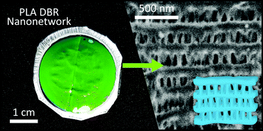 Graphical abstract: Polylactic acid 3D interconnected nanonetworks as high reflectance distributed Bragg reflectors