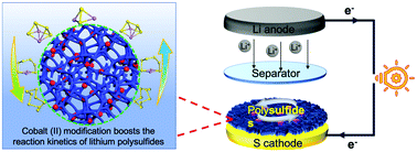 Graphical abstract: Rational design of a zwitterionic porous organic framework loaded with Co(ii) ions to host sulfur and synergistically boost polysulfide redox kinetics for lithium sulfur batteries