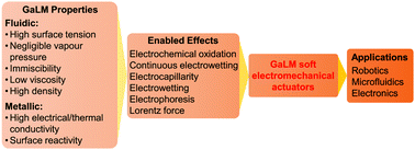 Graphical abstract: Liquid metals as soft electromechanical actuators
